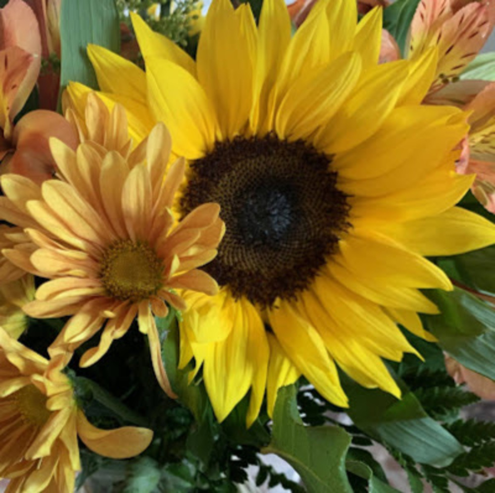 Meet your Posher, Angela